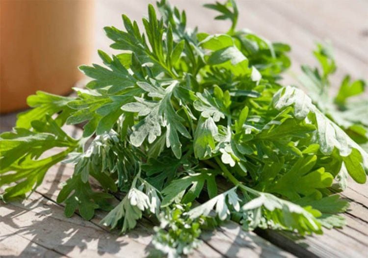 Điều trị thoái hóa cột sống bằng đông y